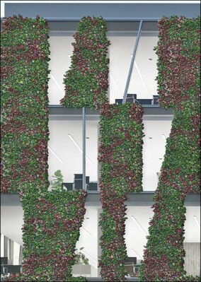 AF UDC 80 Green Façade von Schüco: Urbane Fassadenbegrünung für nachhaltige Städte