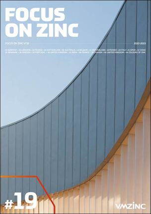 Focus on Zinc #19