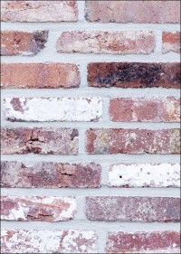 WDVS-taugliche Klinkerriemchen mit Vergangenheit von Caparol: Baustoffrecycling at its best