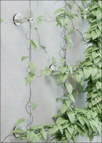 Rankhilfen für WDVS-Fassaden: StoFix Iso-Bar ECO