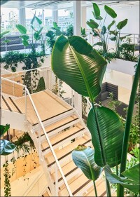 BuGG-Innenraumbegrünung des Jahres 2022 bei Implenia connect in Zürich