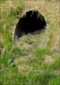 Sanierungsfall Grünmulde