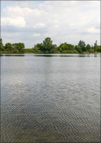 BDEW: 5 Tipps, wie jeder Wasser vor Verunreinigungen bewahren kann