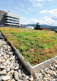 Richard Brink präsentiert drei Komplettsysteme zur extensiven Dachbegrünung