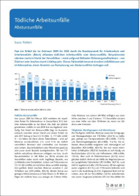 Durchstürze durch Dächer verhindern