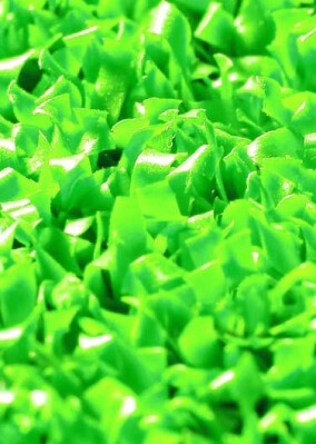 Erster klimaneutraler Hockey-Kunstrasen von Polytan