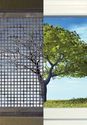 Austausch alter Stahl-Kellerfenster gegen PVC-Fenster von Hain