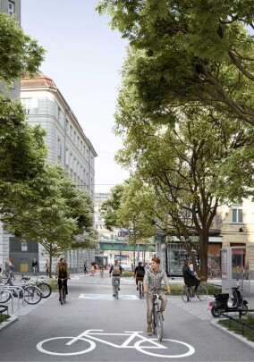Mehr Bäume für coole Straßen und Städte – wie Wien auf urbane Hitzeinseln reagiert