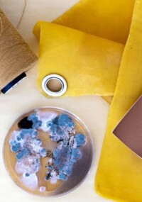 Messe Frankfurt – Heimtextil 2024 Trend Space