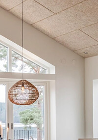 Holzwolle-Hersteller Träullit von Ecophon akquiriert