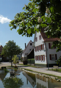 Drees & Sommer: Quartierskonzept zeigt wirtschaftliche Potenziale kleiner Wärmenetze