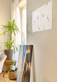 Jati: Lösungen zur Schimmelbekämpfung bei paralleler Nutzung der Räume