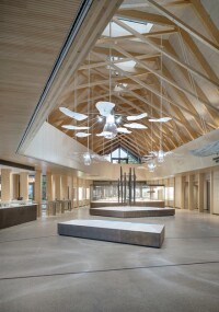 Luxwerk: bewegte Unterwasserwelt im Pfahlbauten Museum am Bodensee