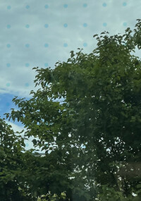 Fraunhofer ISE zeigte neues Vogelschutzglas auf der Glasstec 2024