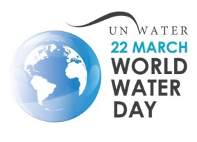 Weltwassertag: Warum Hochwasserschutz in Wald und Flur beginnt