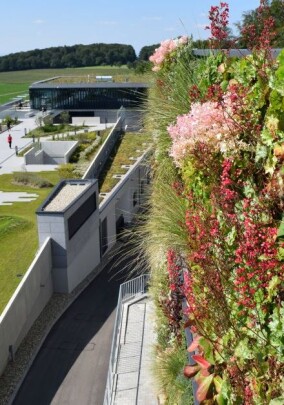 BuGG-Fachkongress „Biodiversität Gebäudegrün” am 24. und 25. April 2024