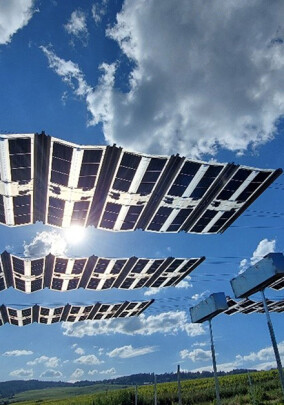 Hochschule Geisenheim nimmt mobile Agrivoltaik-Anlage von sbp sonne in Betrieb 