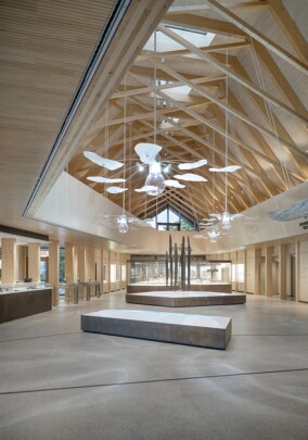 Luxwerk: bewegte Unterwasserwelt im Pfahlbauten Museum am Bodensee