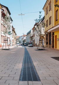 Die Stadt Landau setzt auf nachhaltiges Regenwassermanagement