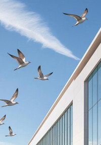 Vogelschutz mit neuer Folien-Technologie von Haverkamp