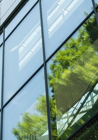 Glas Trösch: Neues Vogelschutzglas „Birdprotect satiniert”