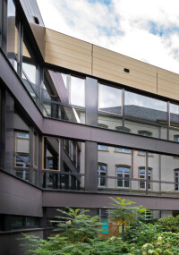 Energetische Sanierung: Traditionsgymnasium erhält neue Fassade