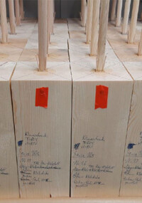 Verbundvorhaben Oekostab: Verbindungen im konstruktiven Holzbau durch Laubholzstäbe ersetzen