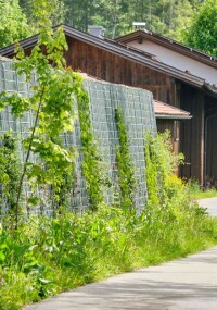 Bepflanzbare Klimawände bieten ökologischen Schallschutz