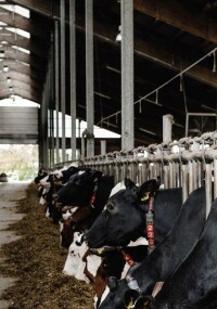 Abox Pro für Elektroinstallationen in der Landwirtschaft geeignet