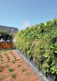 Sichtschutz für die Dachterrasse mit Pflanzwänden von Richard Brink