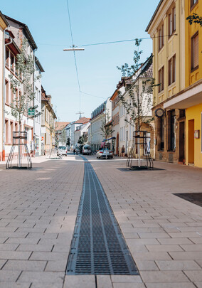 Die Stadt Landau setzt auf nachhaltiges Regenwassermanagement