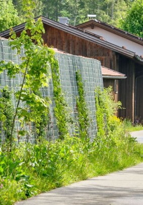 Bepflanzbare Klimawände bieten ökologischen Schallschutz