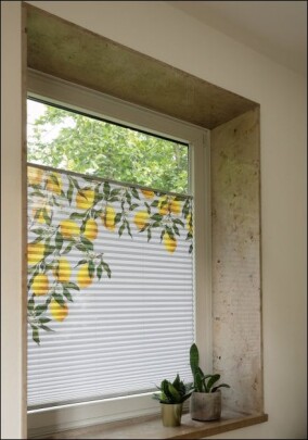 Individualität durch RAL-bedruckte Plisseebehänge