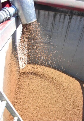 Blähtonkugeln sichern ökologische Abwasserreinigung in Frankfurt-Niederrad
