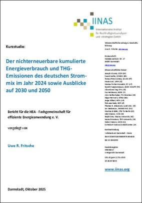 Kurzstudie zum kumulierten Energieverbrauch des deutschen Strommixes