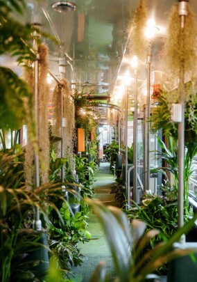 Gewinner des Wettbewerbs „Gebäudegrün des Jahres 2025” stehen fest