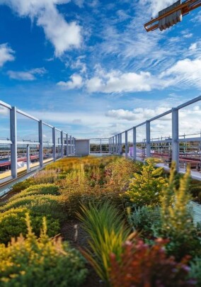 Jackon Online-Webinare 2026: Termine im ersten Halbjahr