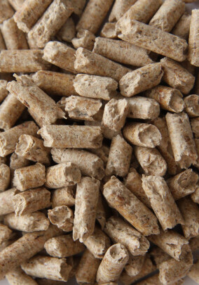 Deutsches Pelletinstitut zieht nach 15 Jahren Erfolgsbilanz des ENplus-Siegels