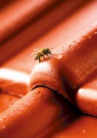 Braas mit neuer Oberflächenformel für Dachsteine auf der Dach+Holz 2026