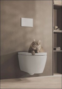 Dusch-WCs: Wasserbasierte Reinigung als Alternative zu Toilettenpapier