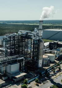 Classen gewinnt Terpentin aus MDF-Produktion