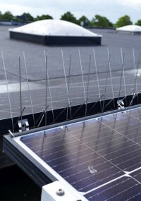 BirdBlocker TopGuard soll Vogelkot auf PV-Anlagen verhindern