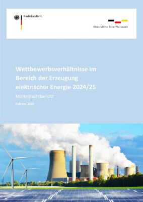 Bundeskartellamt: Marktmachtbericht Stromerzeugung 2024/25