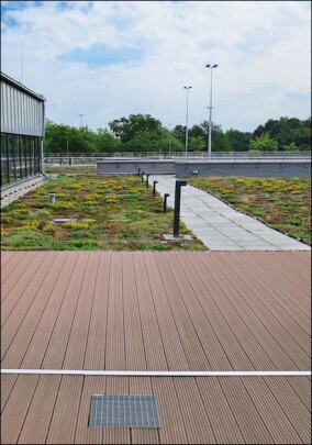 Rockwool stellt druckbelastbare Steinwolle-Dämmungen für Nutzdächer vor