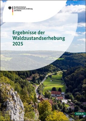 BMLEH veröffentlicht Waldzustandsbericht 2025