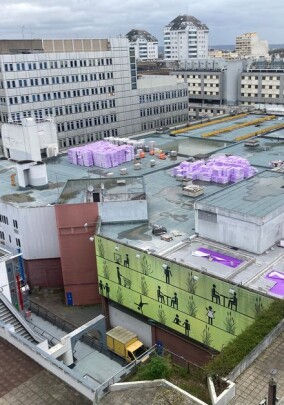 Umkehrdach ermöglicht Urban Farming auf 5.000 m² Dachfläche