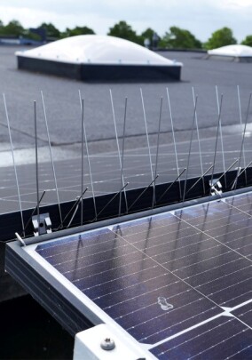 BirdBlocker TopGuard soll Vogelkot auf PV-Anlagen verhindern